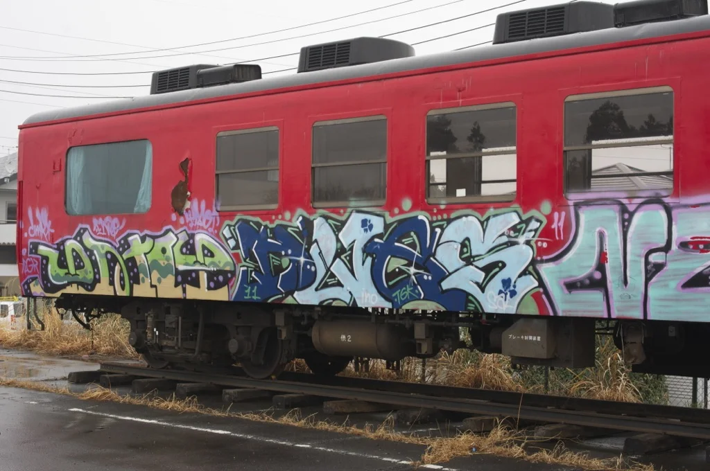 IMGP1119.jpg