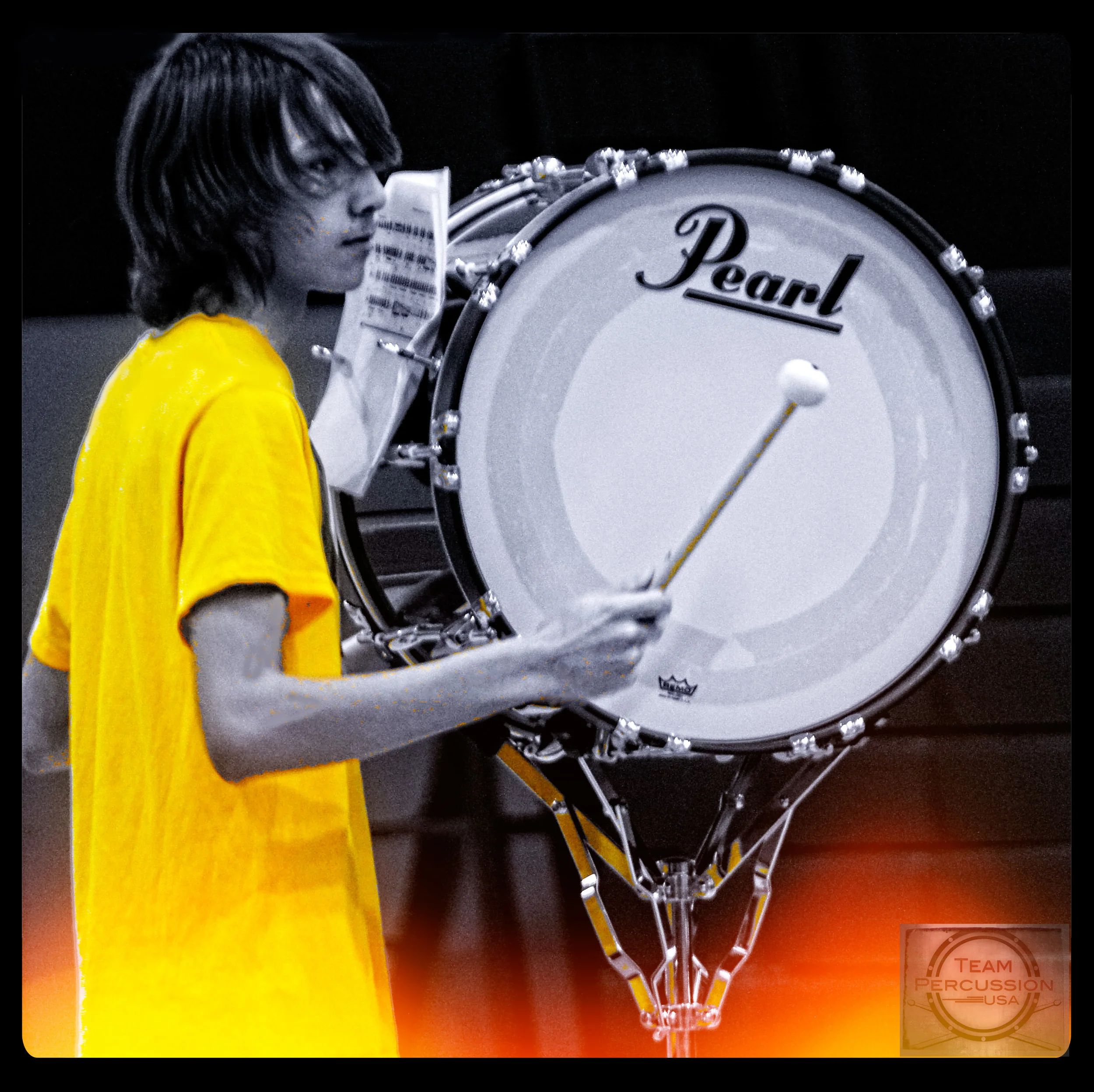 TPerc Bass IV