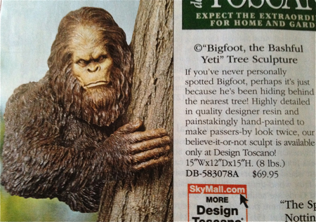 SkyMall9.jpg