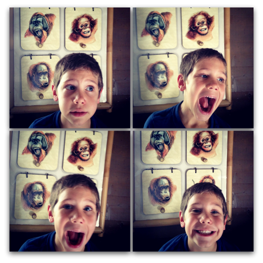 theMT_Monkeyingaround.png