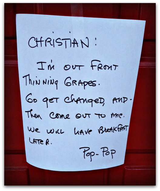 Morning Instructions For Christian