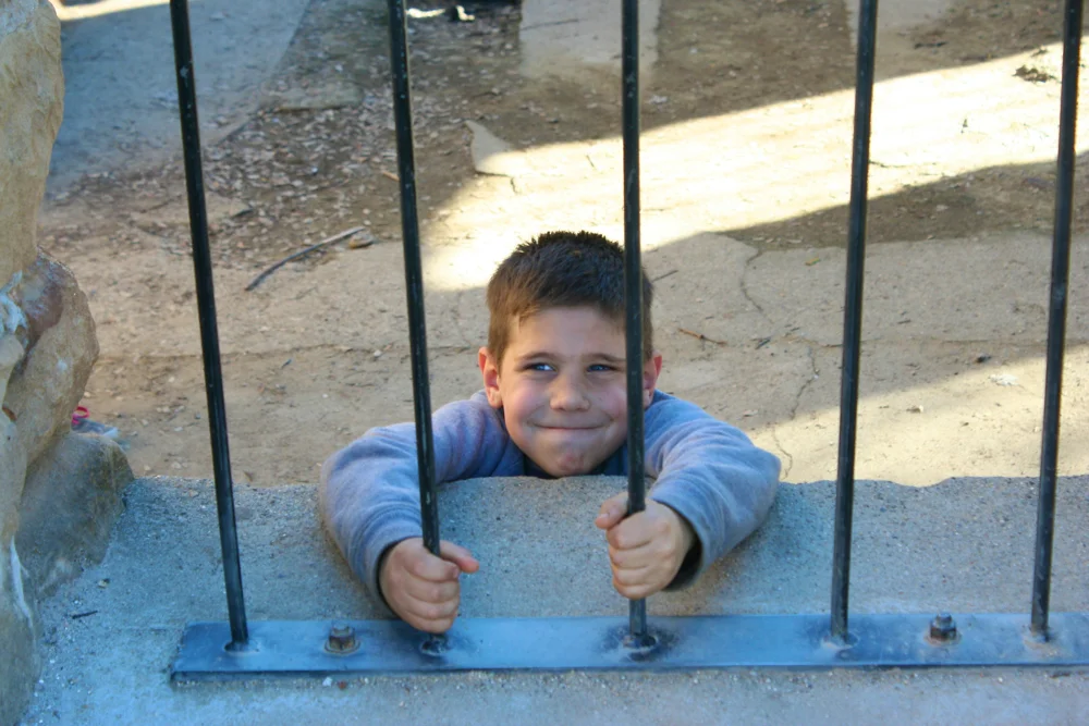 Cute prisoner