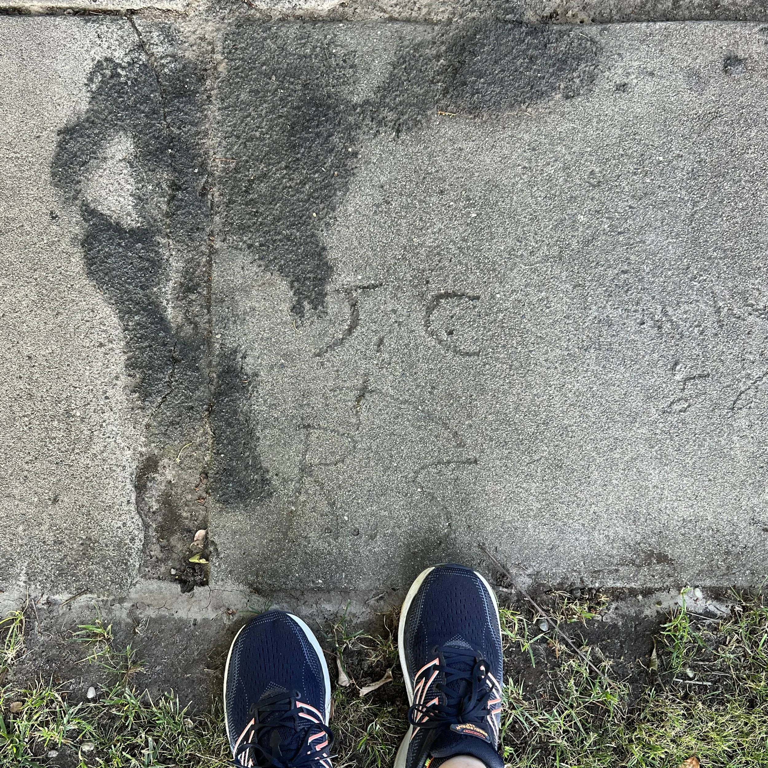 IMG_1007.jpeg