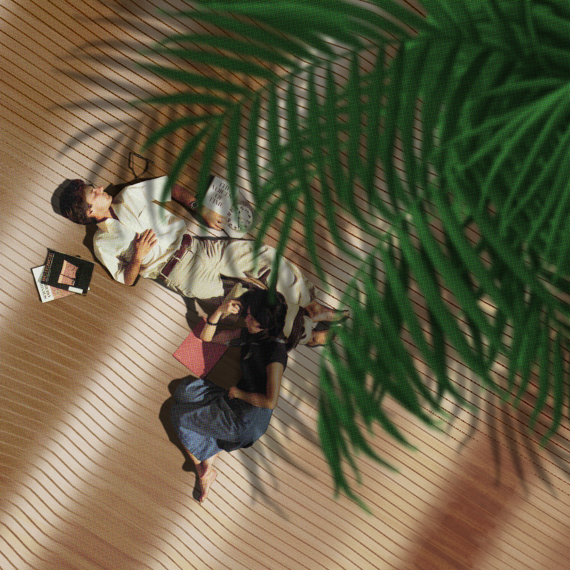 20150125_Close Shot.jpg