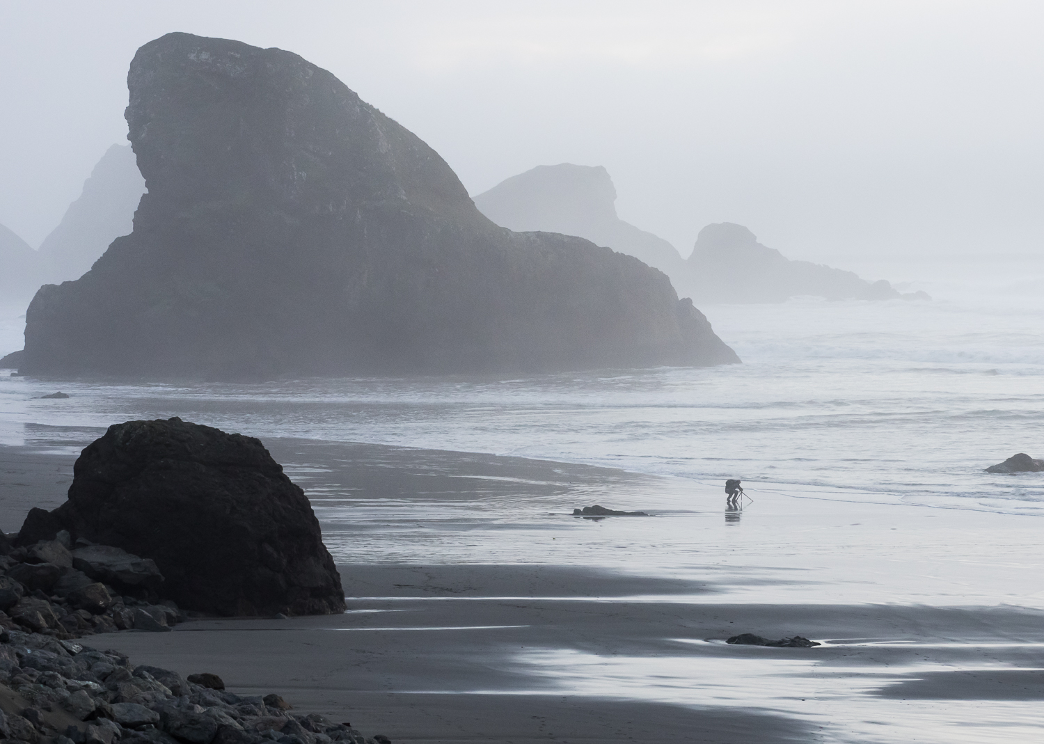 Oregon Coast Silhouette