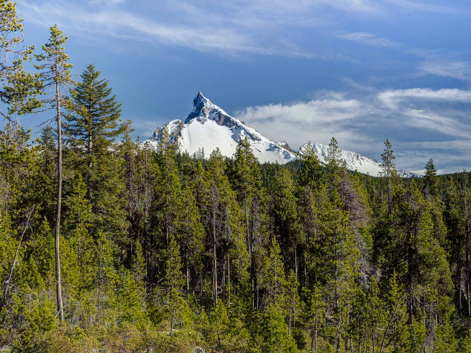 Mt Thielsen