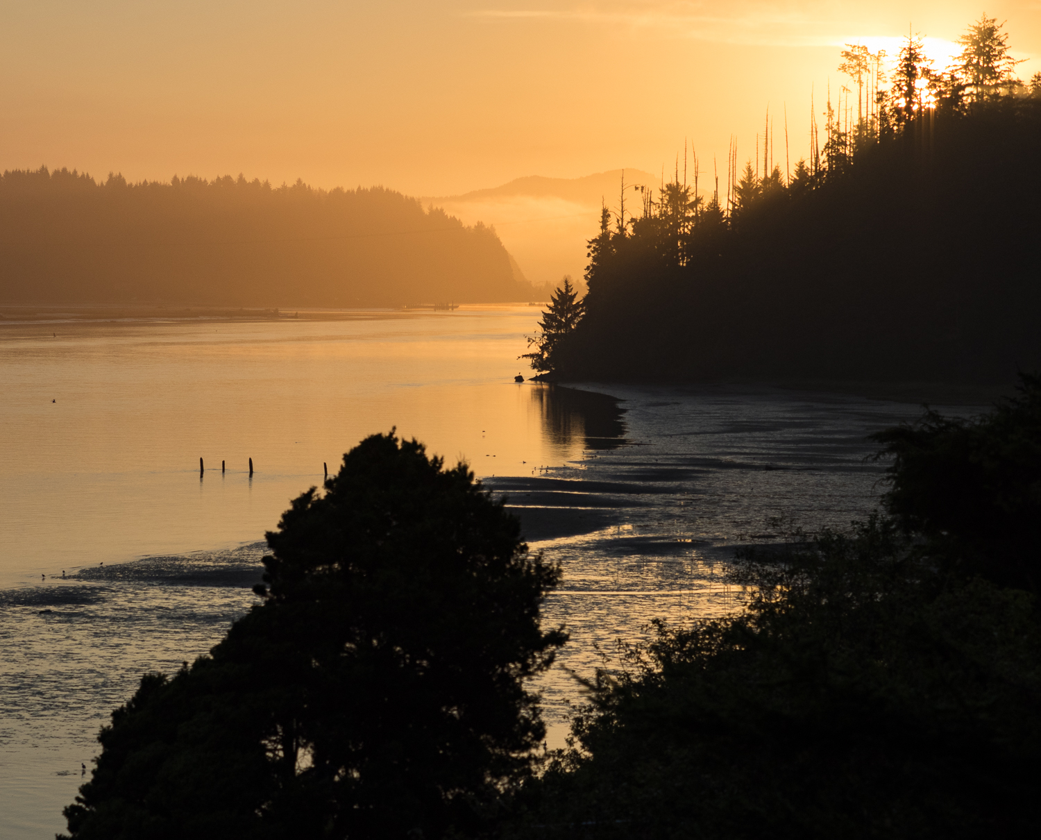 Siuslaw River Sunrise