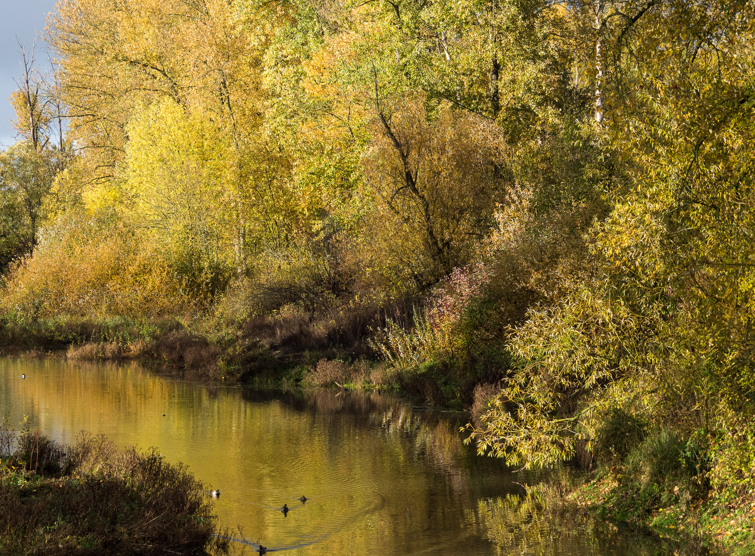 Delta Ponds in Autumn Light