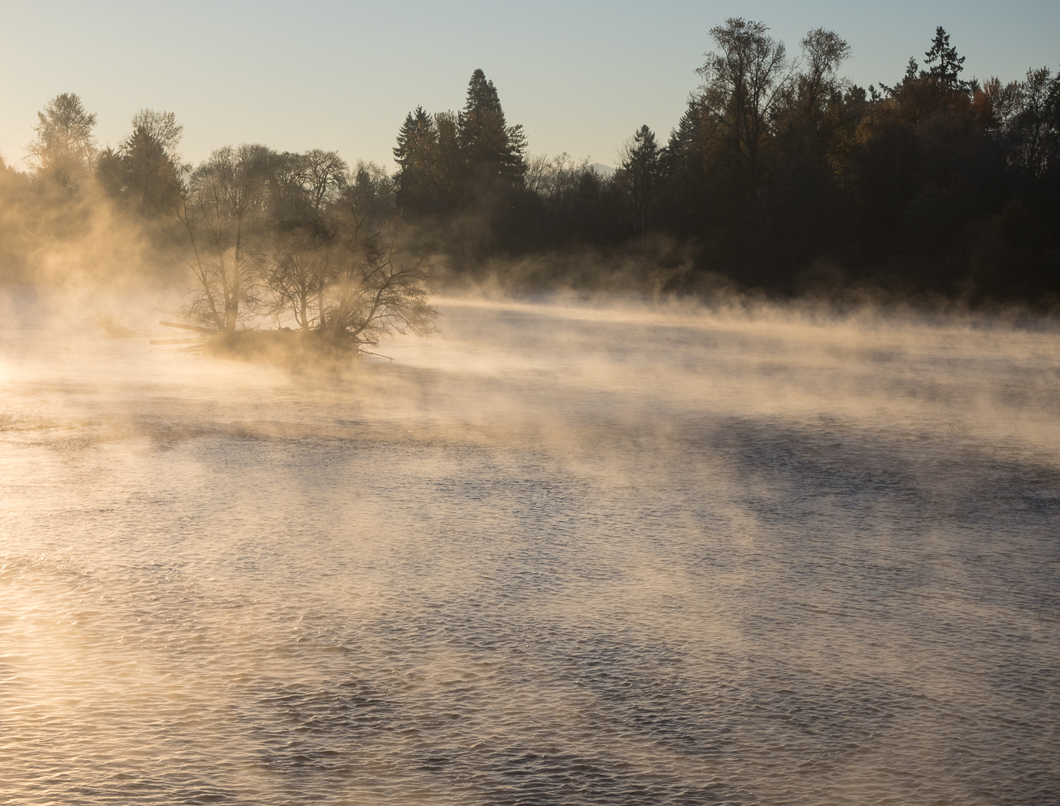 Cold Morning Mist on Willamette River
