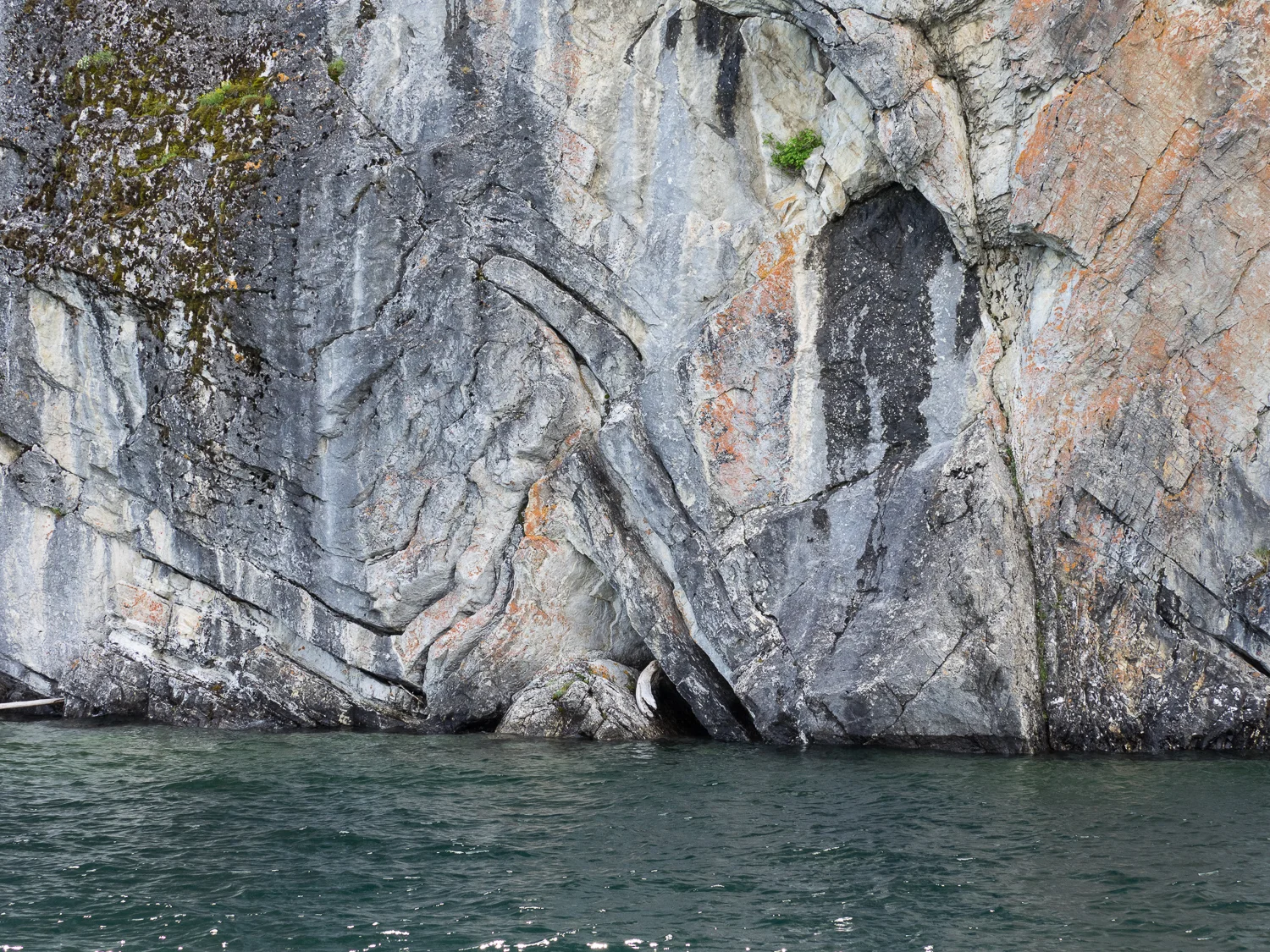 Rock fold along Upper Waterton Lake shore (June 2015)