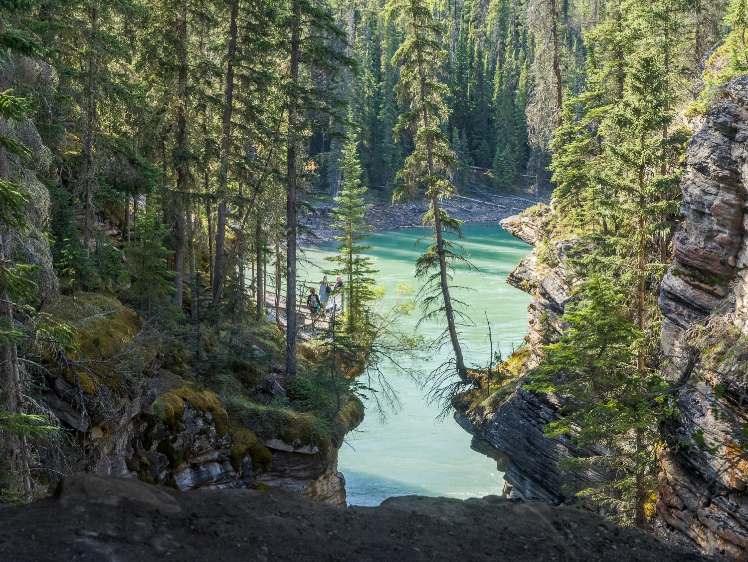Athabasca Falls Downstream