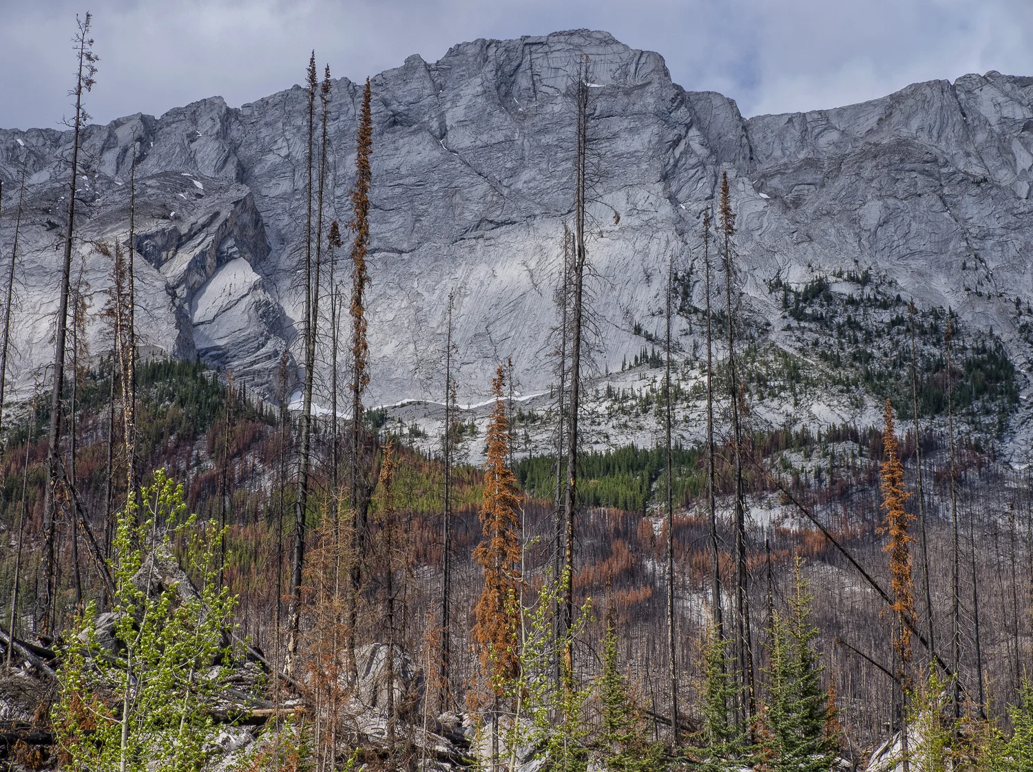 Colin Range at Medicine Lake
