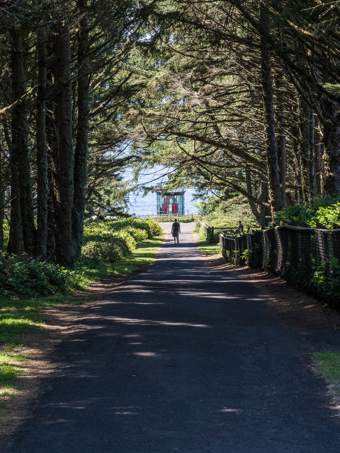 Path to Cape Meares Lighthouse