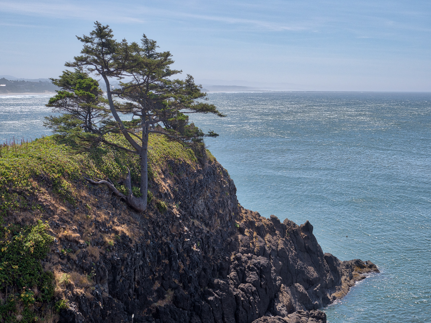 Yaquina Outstanding Natural Area