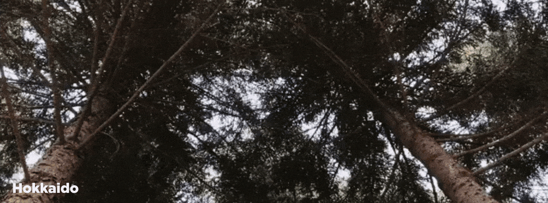 Hokkaido.gif