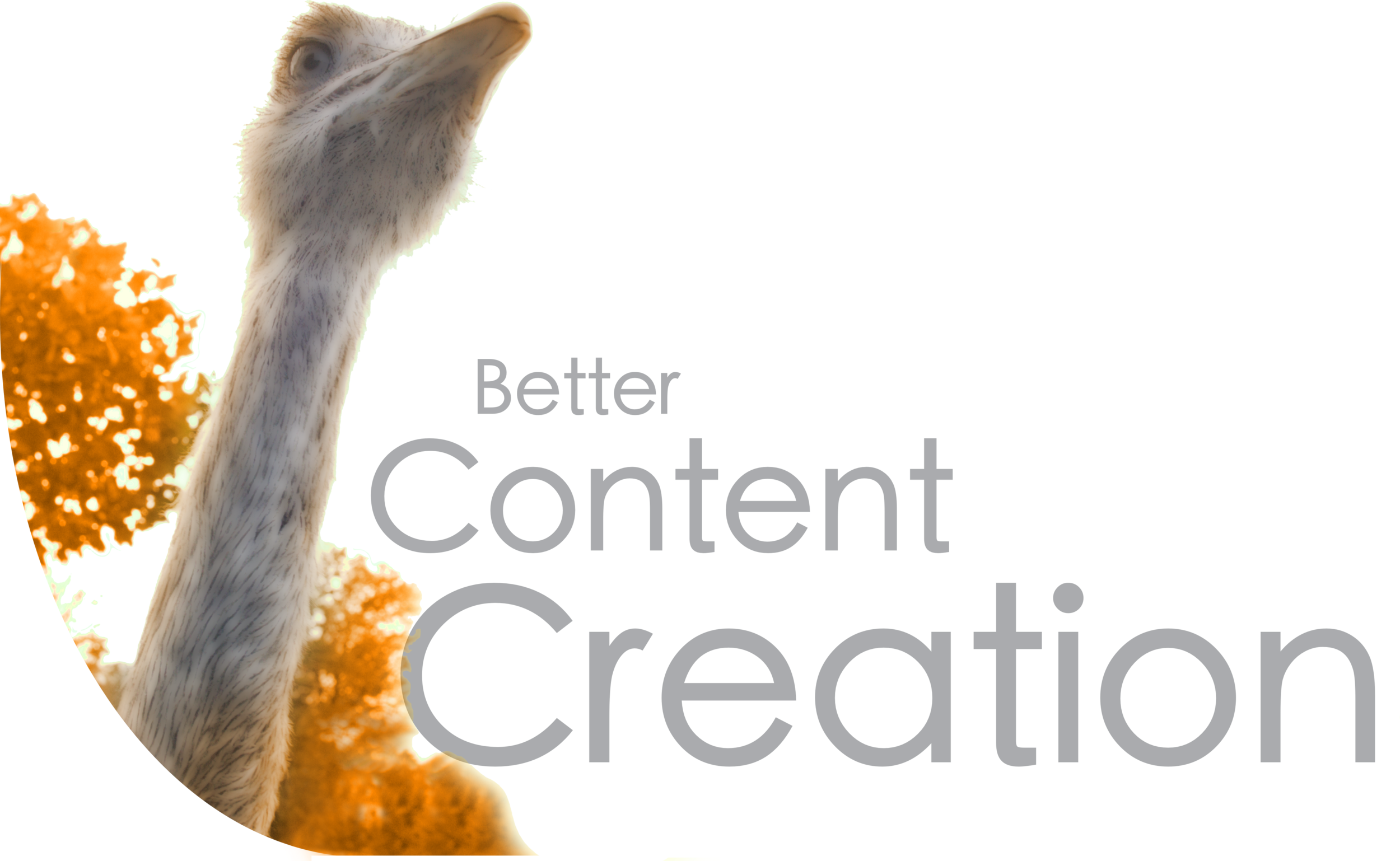 Better Content White PNG.png