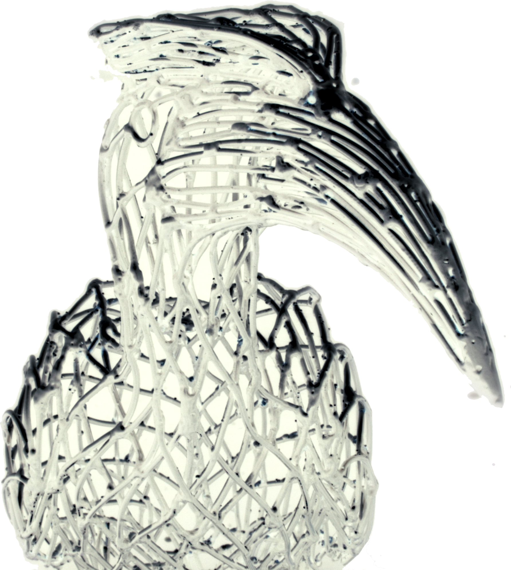 Developer Bird PNG.png