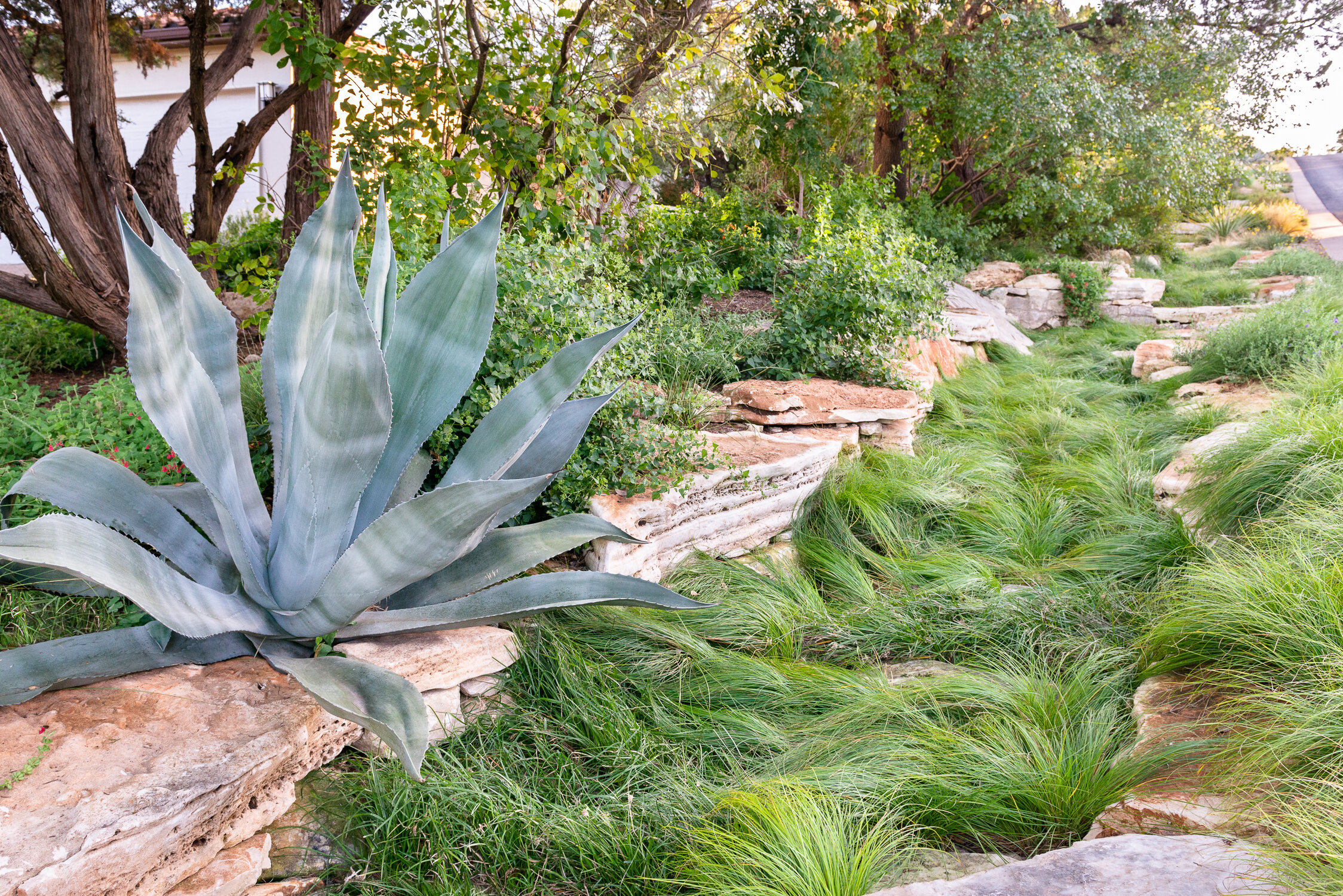Eden Garden Design Austin Landscape Design Build