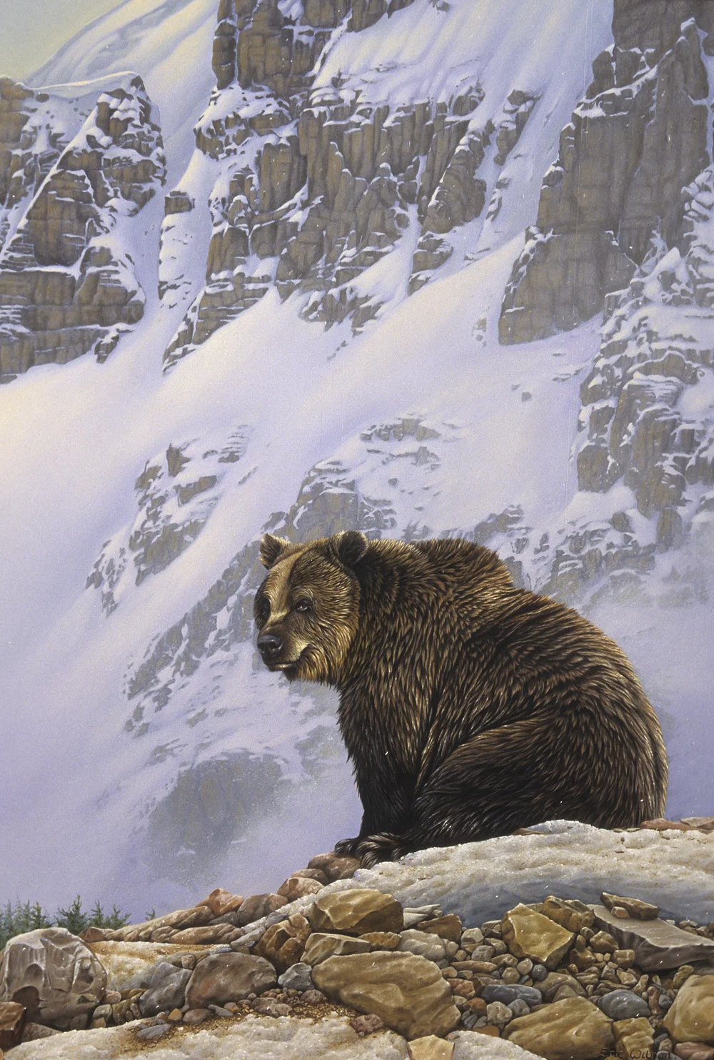 The Old Man Of The Mountain