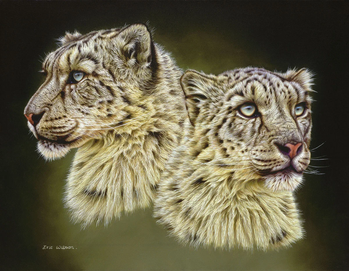 Snow Leopards