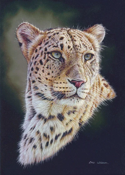 Persian Leopard.