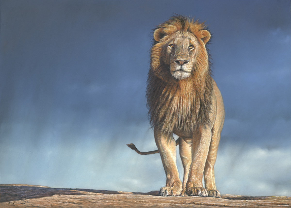 Rainmaker. Pastel 27 by 19.5 Inches £3750