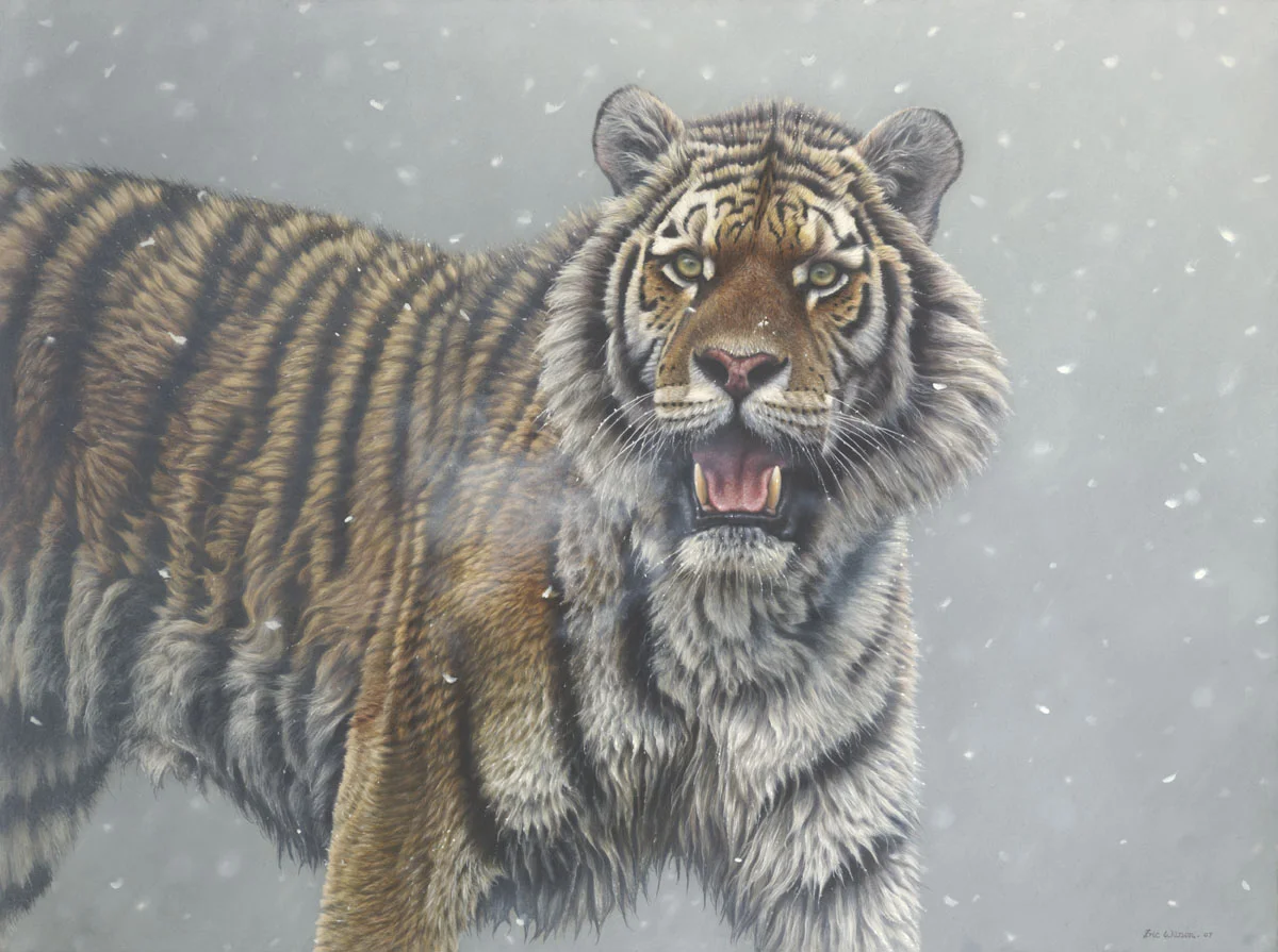 'Spirit Tiger' Oil on Board 24 by 32 Inches £3,500