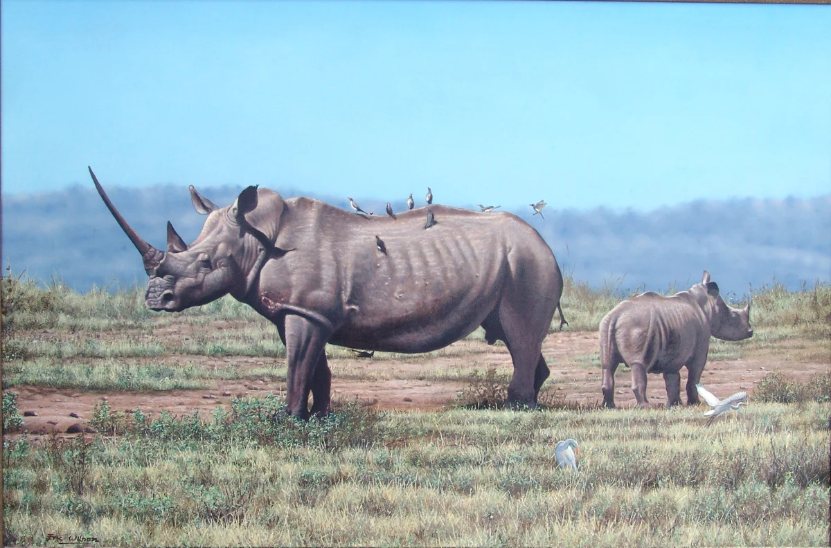Rhino