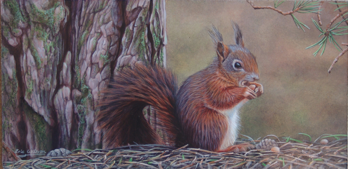 Squirrel Nutkin