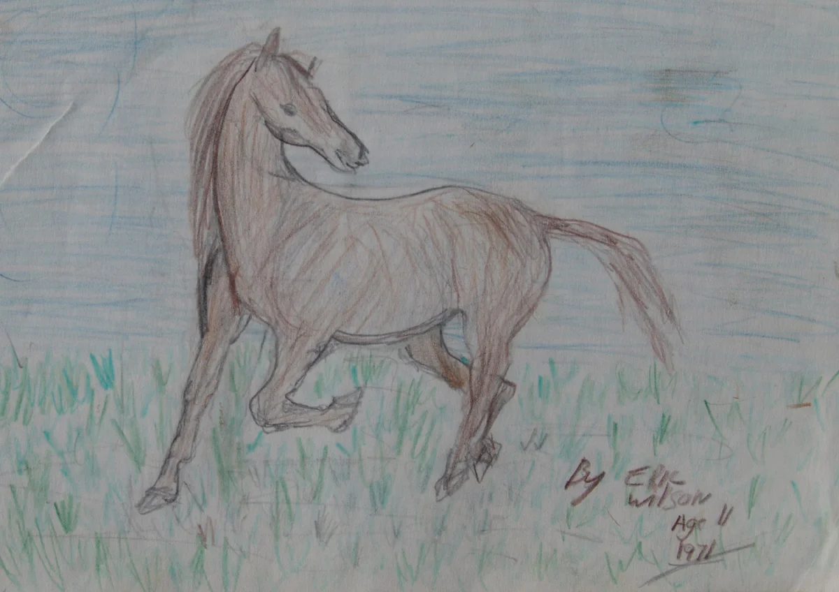 drawing of a horse