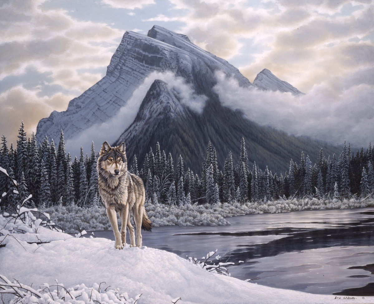Lone Wolf-Mount Rundle