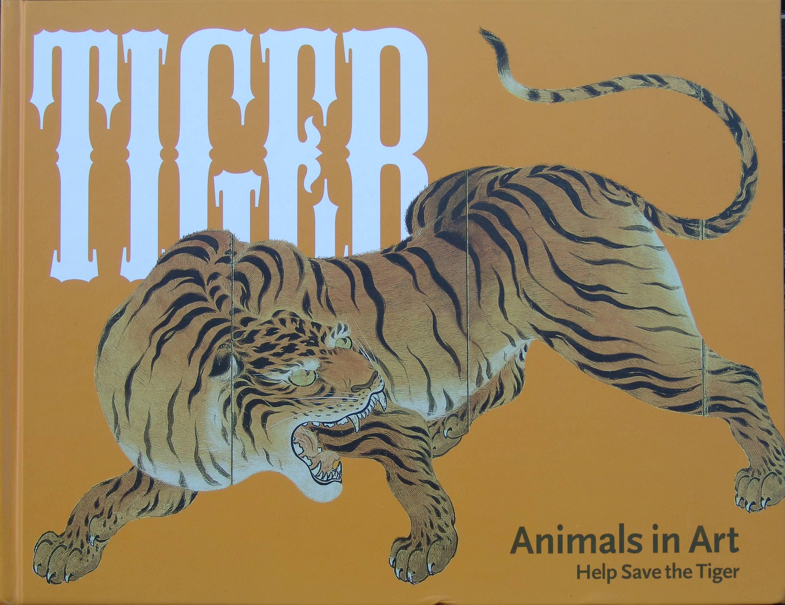 Сохранение тигров. Тигр с книгой. Тигр из книги серебряные. Венгерская книга тигры.