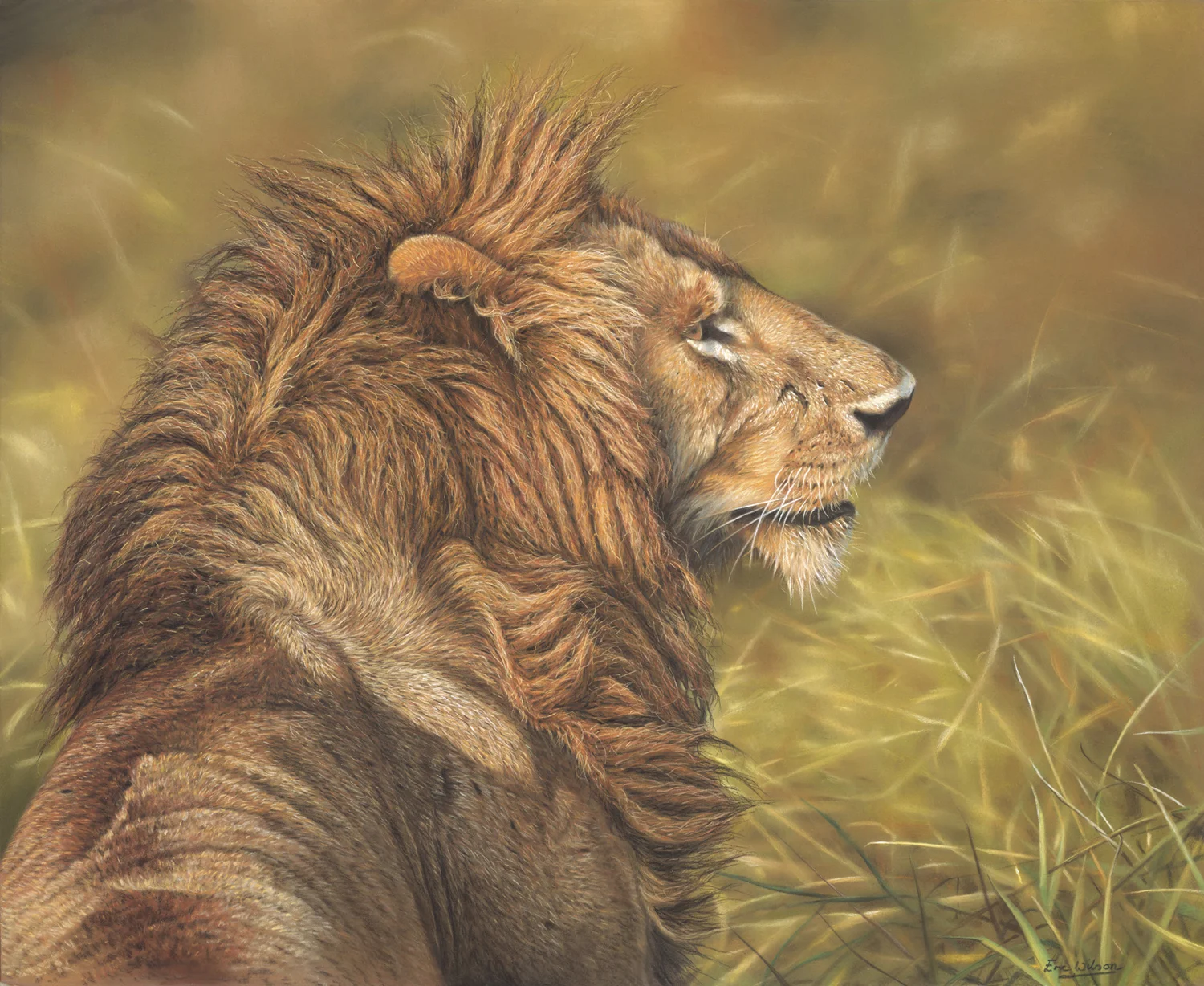 lionweb1500.jpg
