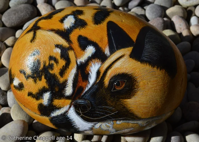 Africanwilddog.jpg