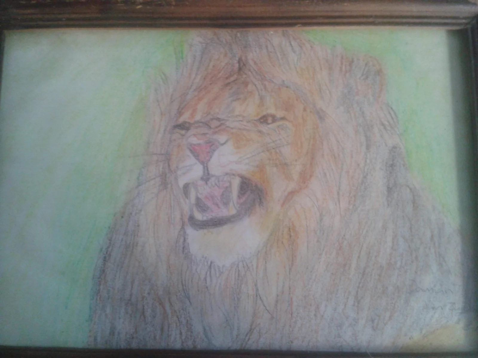 lion.jpg