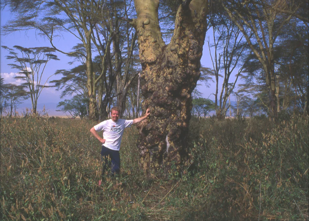 Leopard research in Ngorongoro crater with wildlife artist Eric Wilson. Research work for leopard paintings.