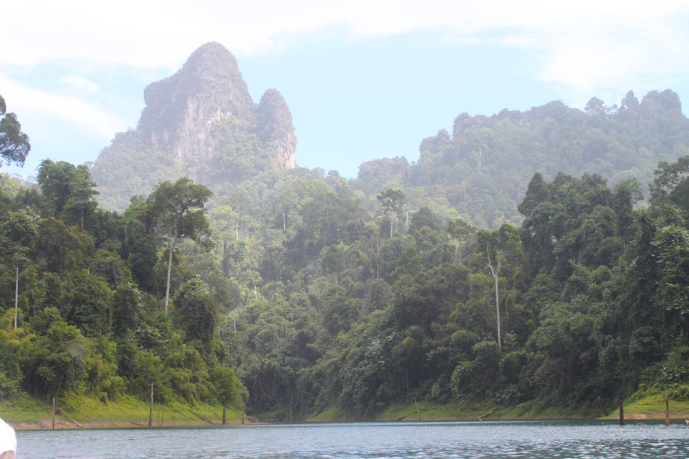 Wildlife Expert Eric Wilson in the rainforests of Thailand searching for clouded leopards, Tigers and great Hornbills.