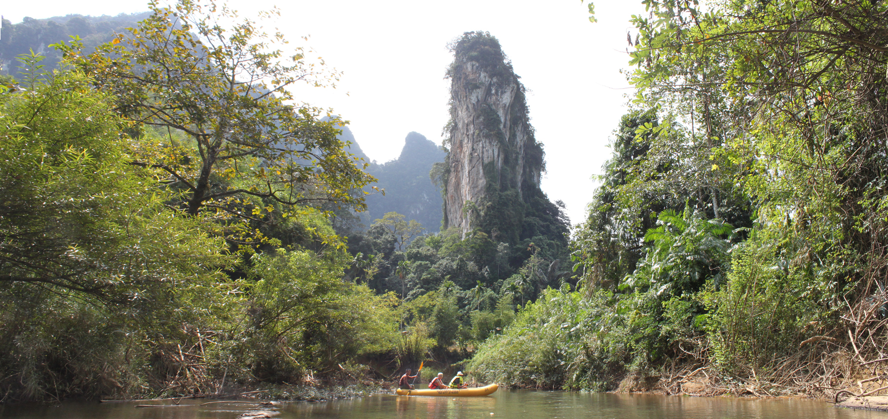 River trip by canoe in Khao Sok Rainforest. Original rainforest painting for sale. Painting of Great Hornbills for sale. Tropical Bird painting.