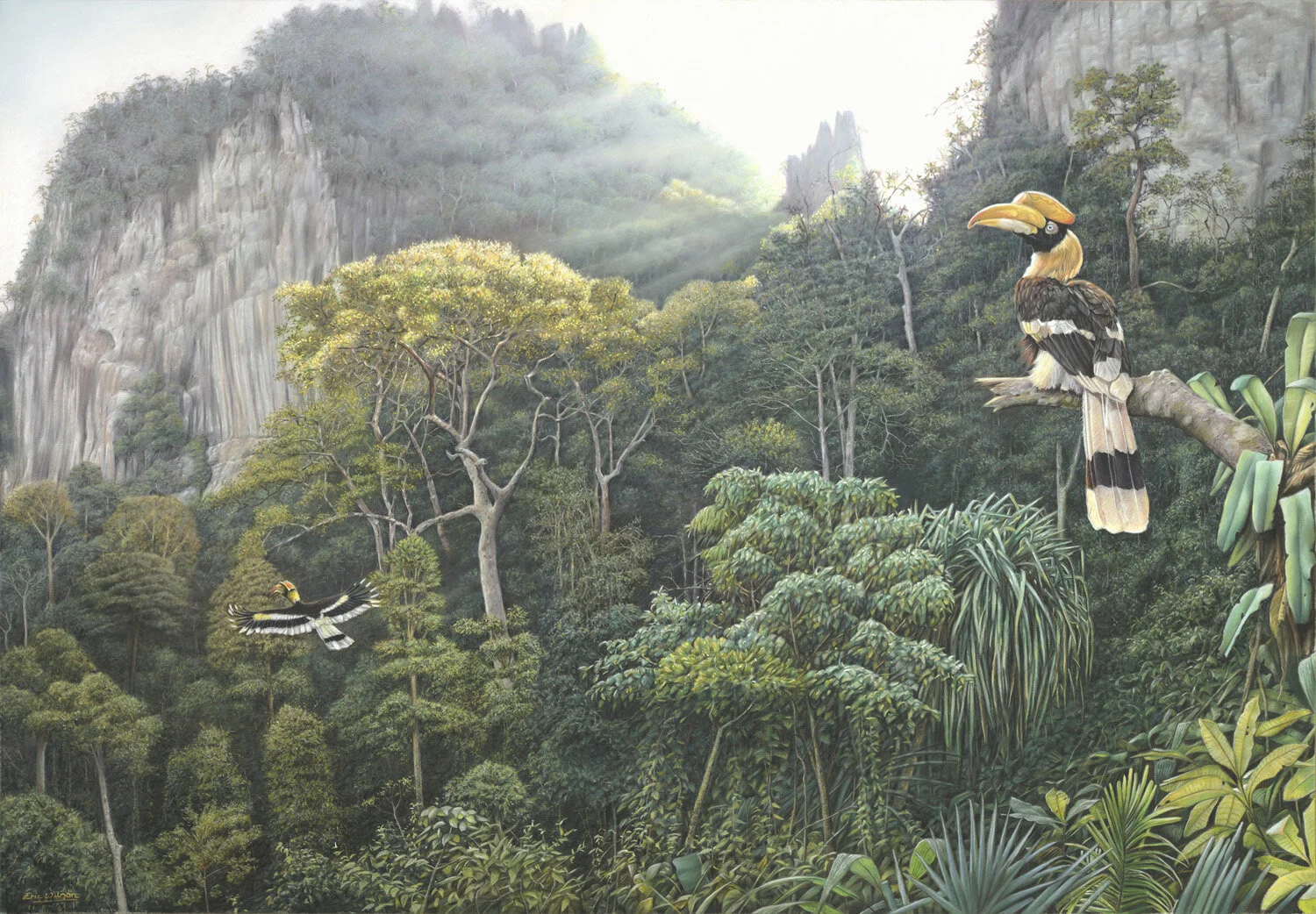   GREAT HORNBILLS AT KHAO SOK.  Thailand. Pastel on pastelmat, 40 inches across. This is my largest pastel painting to date.    Available:  • Paper and canvas fine art prints.   