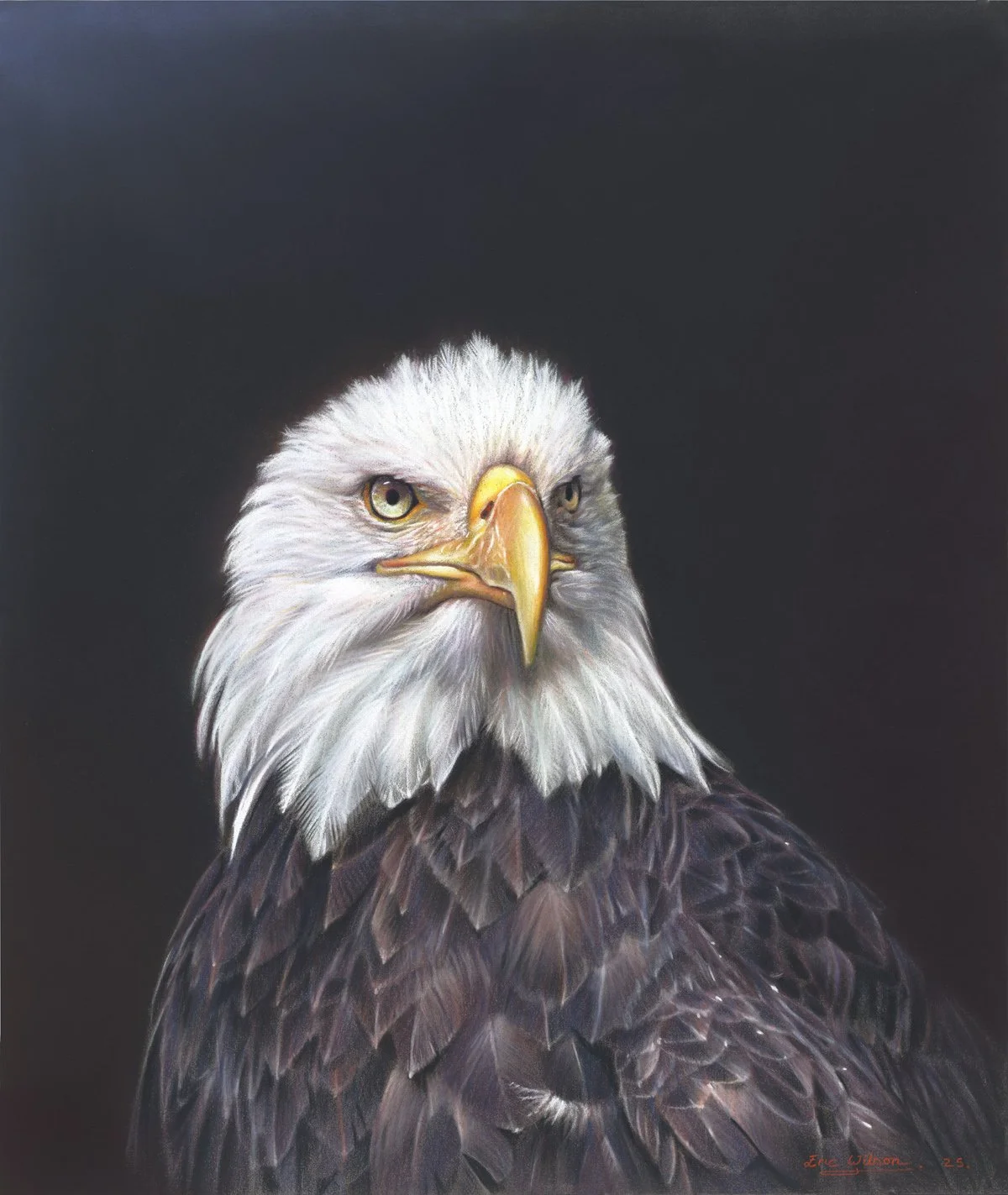 EAGLE PORTRAIT Pastel on Pastelmat, 18 × 14 inches. Available: • Original • Paper and canvas fine art print.