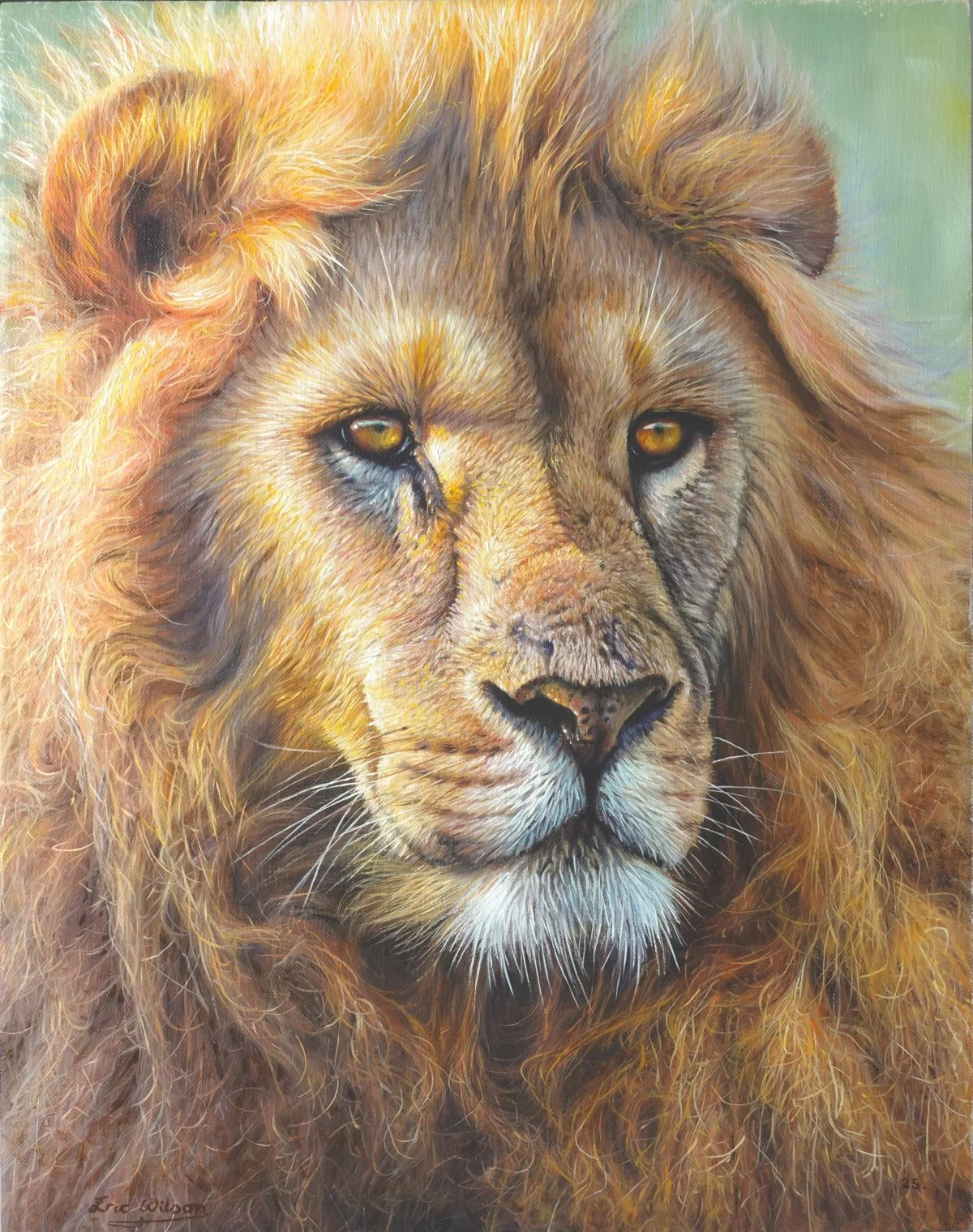 SUNNY BOY - LION  20 × 16 inches.   Available:  • Original