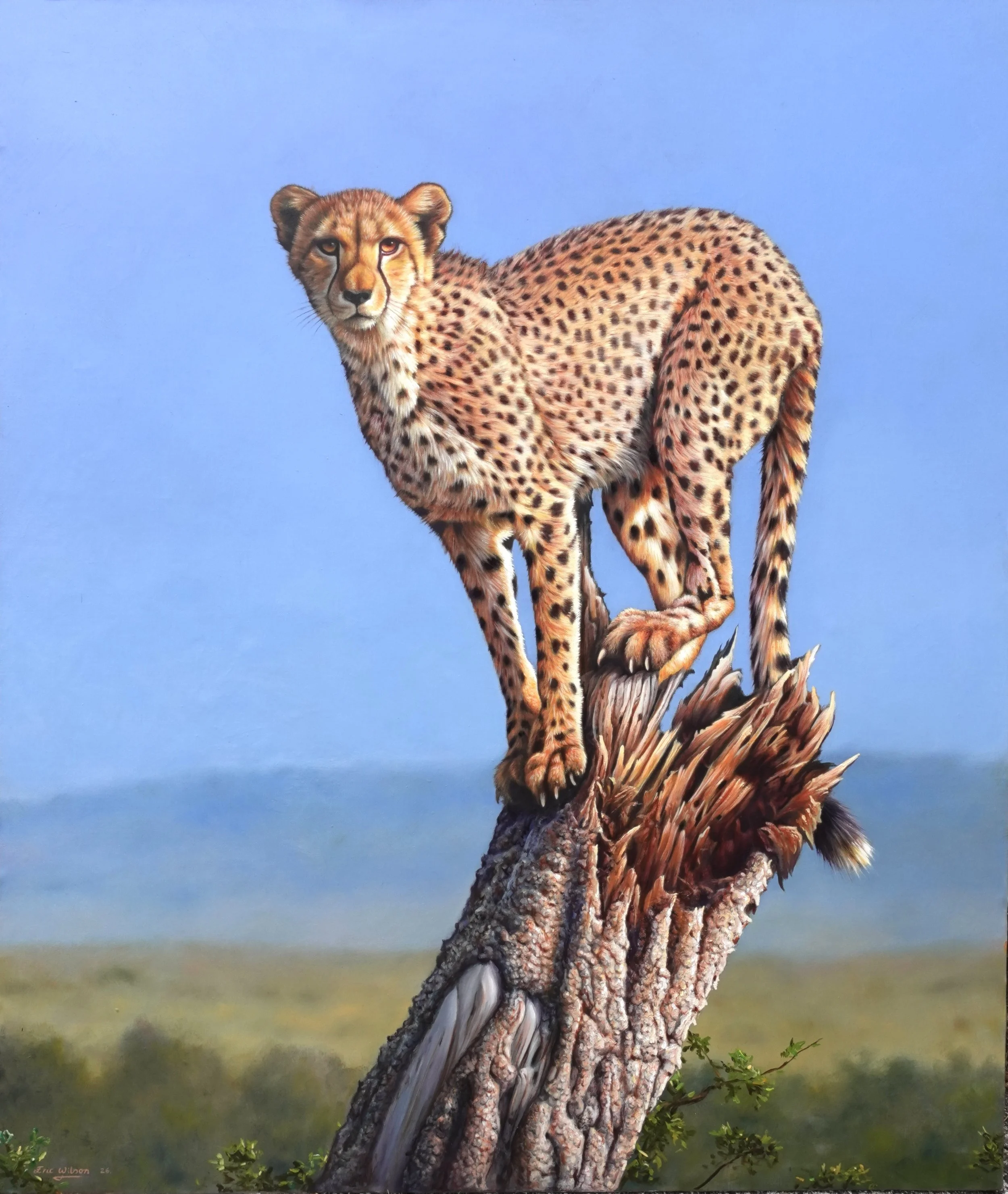   VANTAGE POINT  Oil on linen, 36 x 30.5 inches 