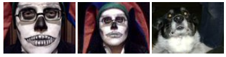 HalloweenCostumeAndDog.png