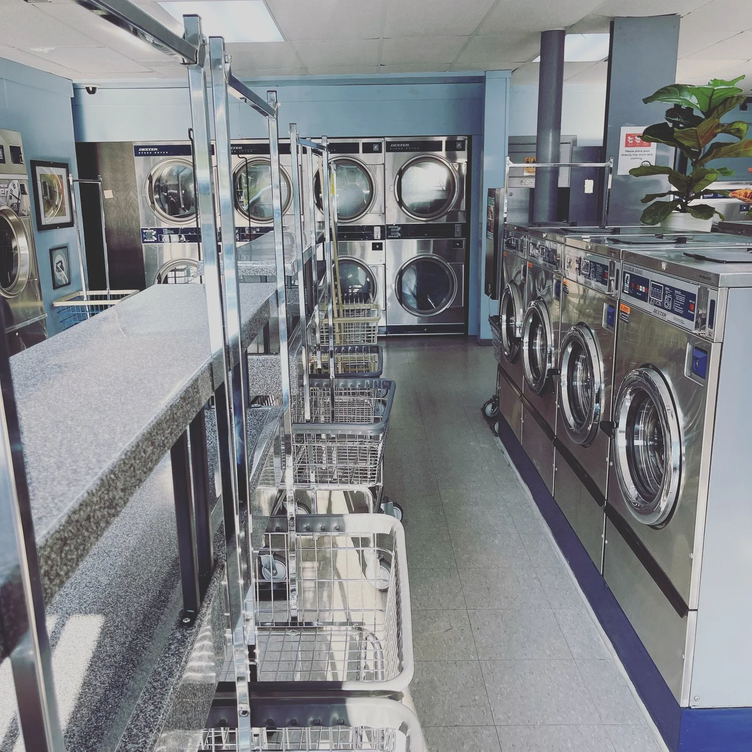 White Spot Coin Laundry photo 2