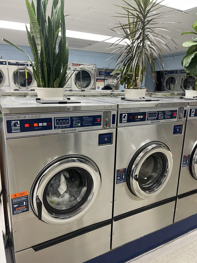 White Spot Coin Laundry photo 8