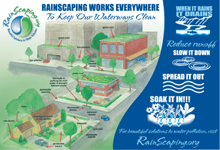 rainscapingad-2.gif