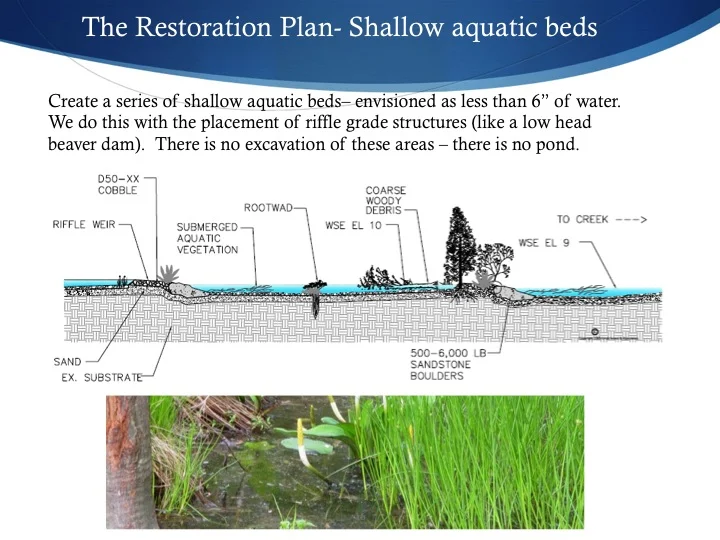 Slide16.jpg