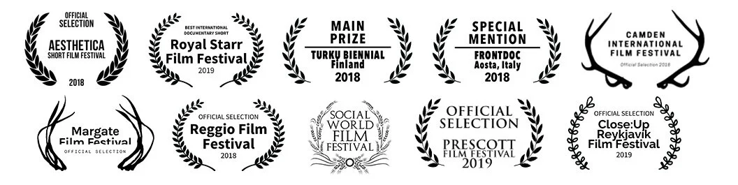 festivals banner 2-row.jpg