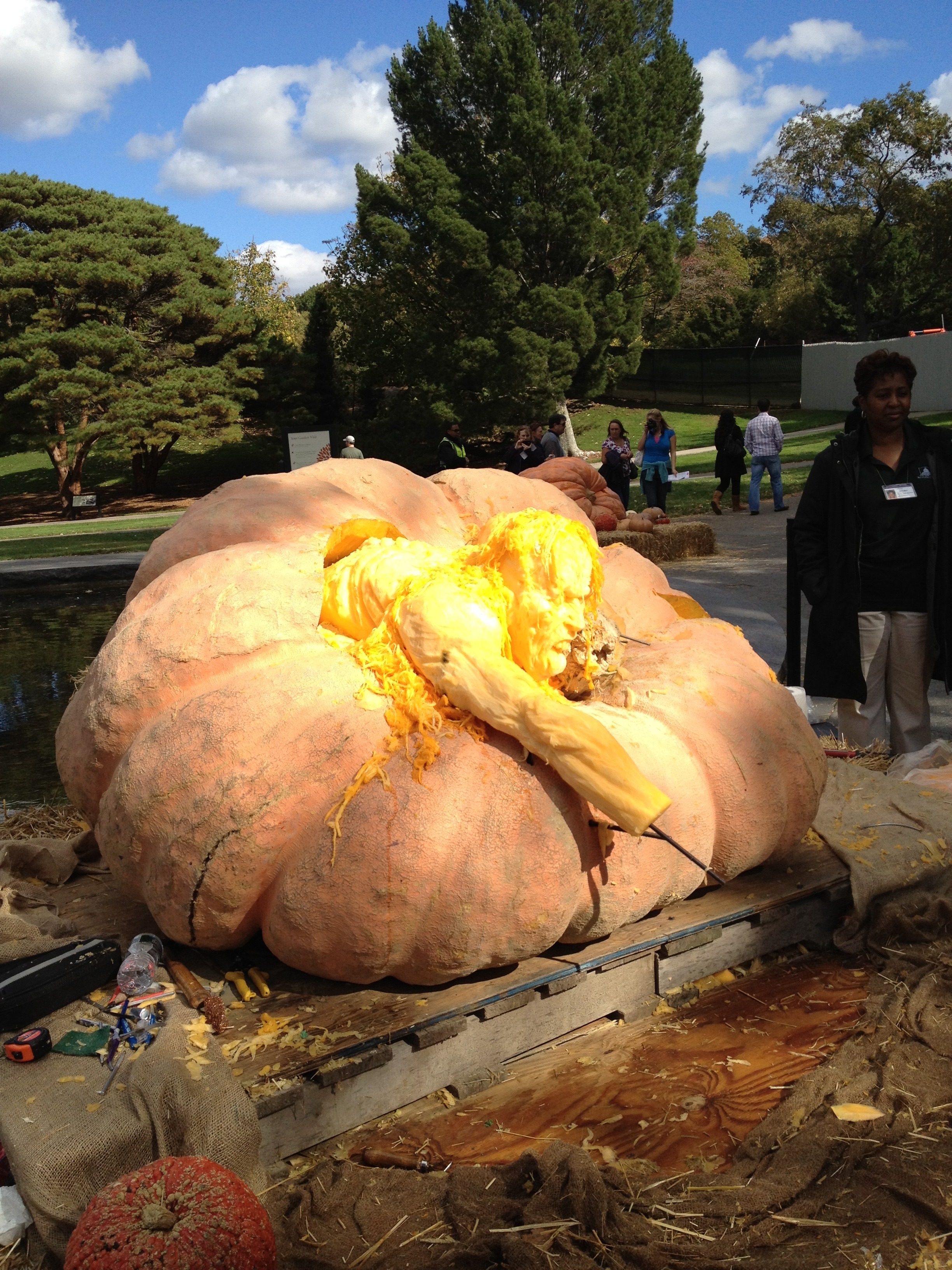 Giant Pumpkin Carving, NY Botanical Garden