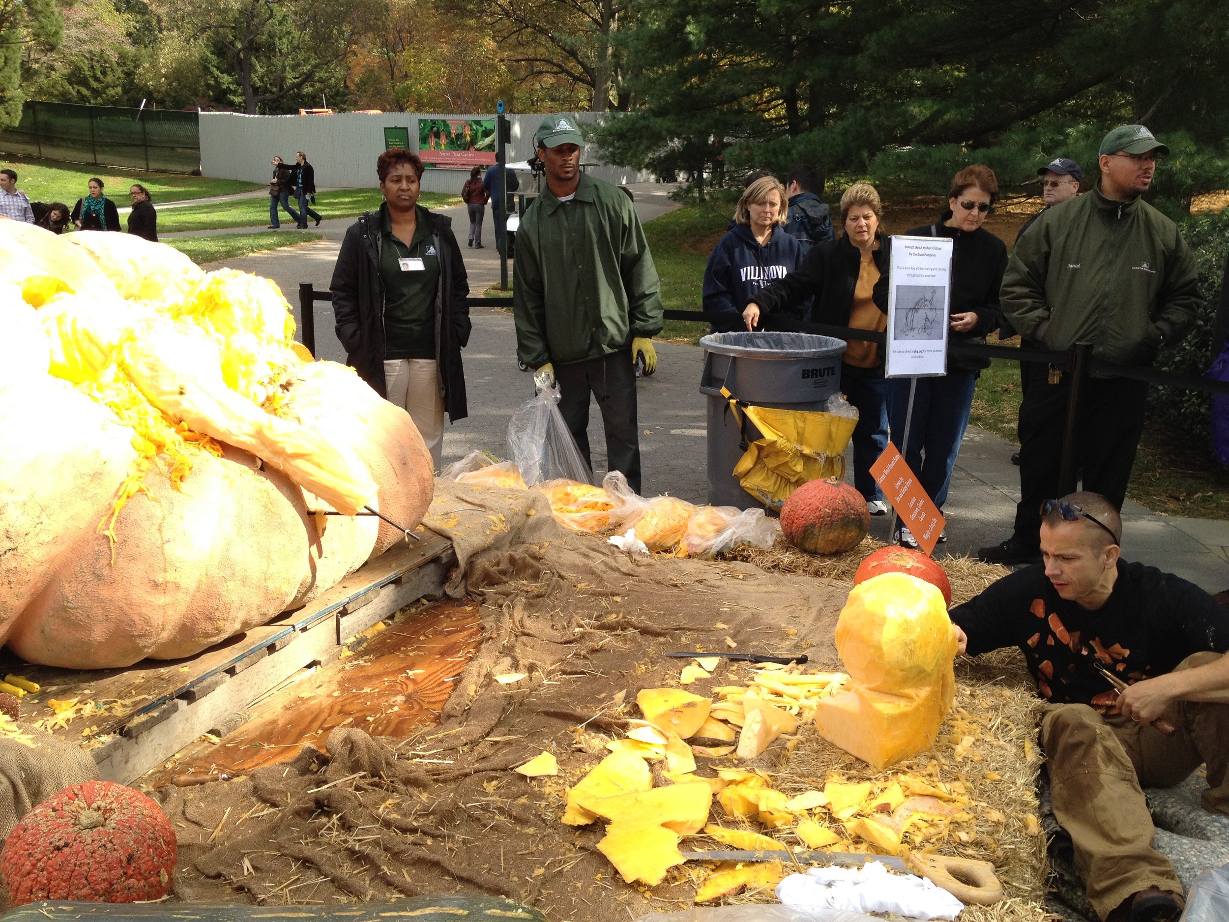 Giant Pumpkin Carving, NY Botanical Garden